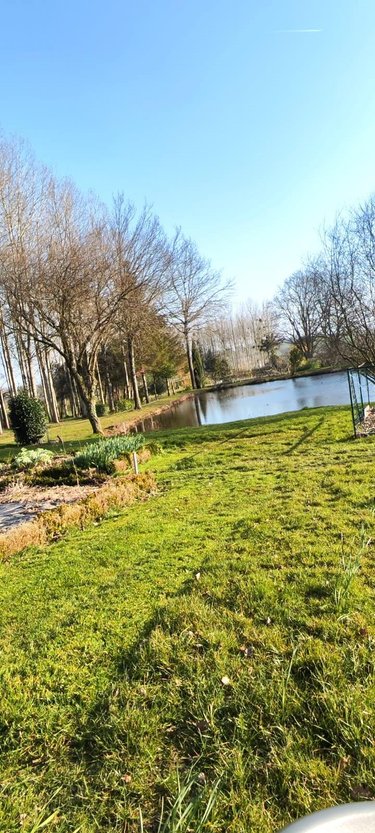 Terrains de loisirs bois etangs a vendre La Baconnière 53240 Mayenne 20002 m2  77108 euros