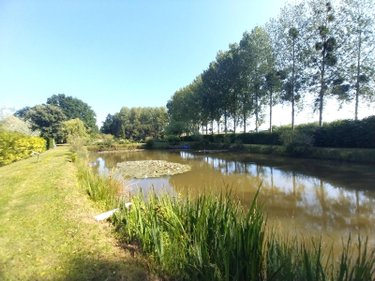 Terrains de loisirs bois etangs a vendre La Baconnière 53240 Mayenne 20002 m2  77108 euros