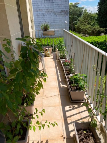 Appartement a vendre Bagneux 92220 Hauts-de-Seine 62 m2 3 pièces 329000 euros