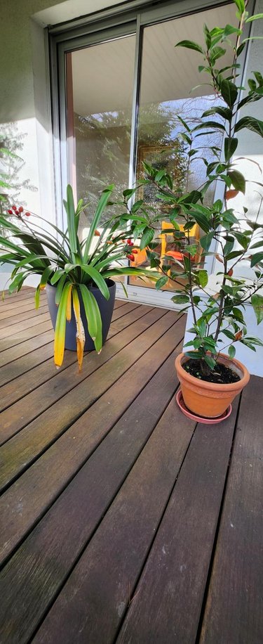 Appartement a vendre Rennes 35000 Ille-et-Vilaine 90 m2 4 pièces 473800 euros