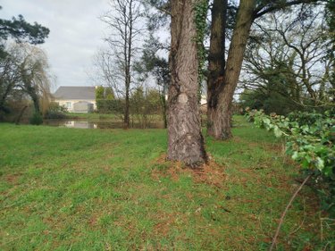 Terrain a batir a vendre Ligné 44850 Loire-Atlantique 1581 m2  150800 euros