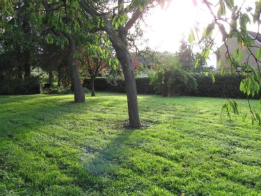 Maison a vendre Sermiers 51500 Marne 167 m2 6 pièces 370000 euros