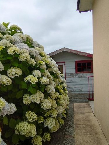 Maison a vendre Plouisy 22200 Côtes-d'Armor 143 m2 7 pièces 271440 euros
