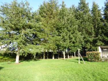 Maison a vendre La Chapelle-aux-Filtzméens 35190 Ille-et-Vilaine 135 m2 5 pièces 418000 euros