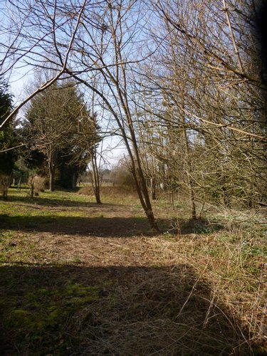 Terrain a batir a vendre Cosne-Cours-sur-Loire 58200 Nièvre 1185 m2  18500 euros