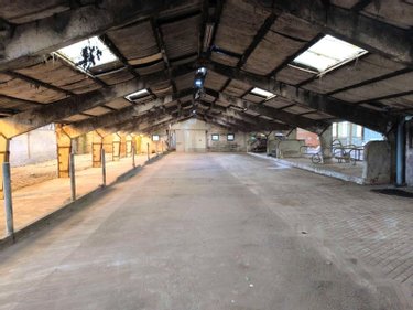 Maison a vendre Thiennes 59189 Nord 230 m2  249000 euros