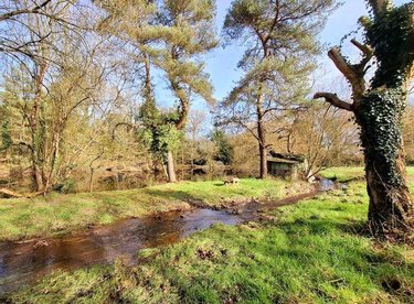 Terrains de loisirs bois etangs a vendre Liffré 35340 Ille-et-Vilaine 12563 m2  96100 euros
