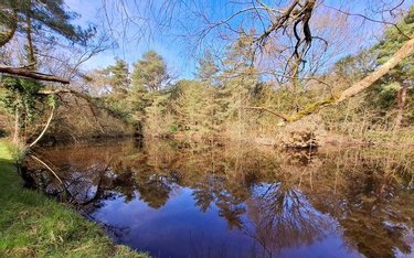 Terrains de loisirs bois etangs a vendre Liffré 35340 Ille-et-Vilaine 12563 m2  96100 euros