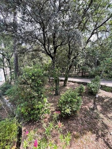 propriete a vendre Saint-Clément-de-Rivière 34980 Hérault 283 m2 8 pièces 900000 euros