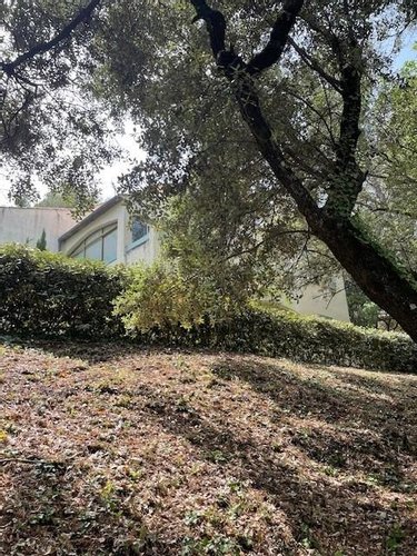 propriete a vendre Saint-Clément-de-Rivière 34980 Hérault 283 m2 8 pièces 900000 euros
