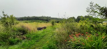 Bien agricole a vendre Saint-Thurien 29380 Finistère  26500 euros
