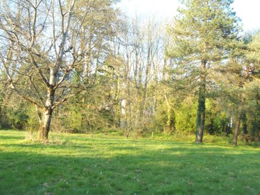 Maison a vendre Lécousse 35133 Ille-et-Vilaine 215 m2 9 pièces 418600 euros