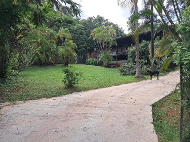 Maison a vendre Remire-Montjoly 97354 Guyane 100 m2 6 pièces 399000 euros