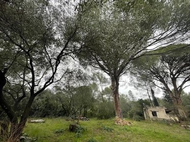 propriete a vendre Montpellier 34000 Hérault 127 m2 5 pièces 1040000 euros