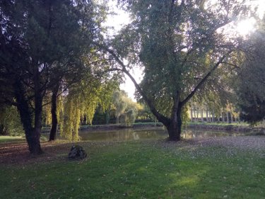 Terrains de loisirs bois etangs a vendre Bécherel 35190 Ille-et-Vilaine  40000 euros