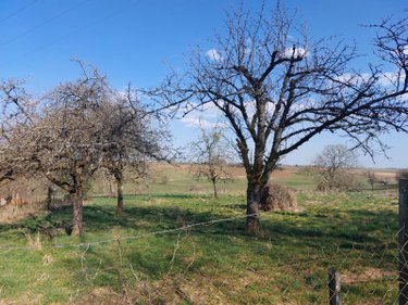 Maison a vendre Jonval 08130 Ardennes 166 m2 7 pièces 127000 euros