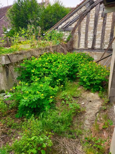 Maison a vendre Joigny 89300 Yonne 106 m2 6 pièces 105040 euros