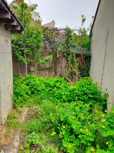 Maison a vendre Joigny 89300 Yonne 106 m2 6 pièces 105040 euros