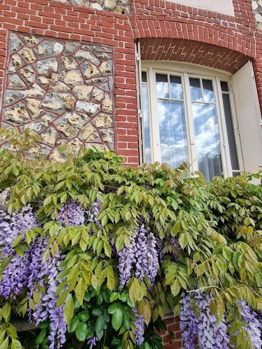 Maison a vendre Rouen 76000 Seine-Maritime 87 m2 4 pièces 212000 euros