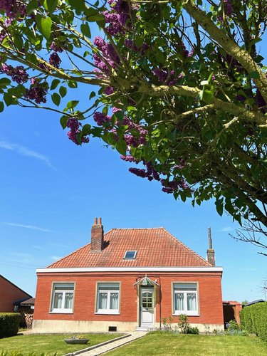 Maison a vendre Borre 59190 Nord 145 m2 7 pièces 182500 euros