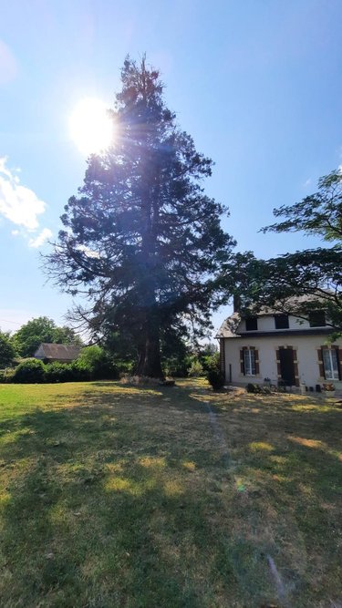 Maison a vendre Guilly 36150 Indre 175 m2 7 pièces 150500 euros