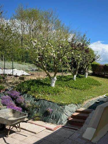 Maison a vendre Saint-Langis-lès-Mortagne 61400 Orne 82 m2 4 pièces 200450 euros