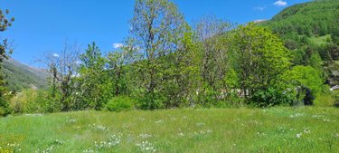 Terrain a batir a vendre Château-Ville-Vieille 05350 Hautes-Alpes 526 m2  70000 euros