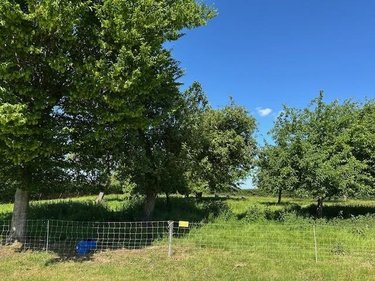 Maison a vendre Bouelles 76270 Seine-Maritime 77 m2 4 pièces 167200 euros