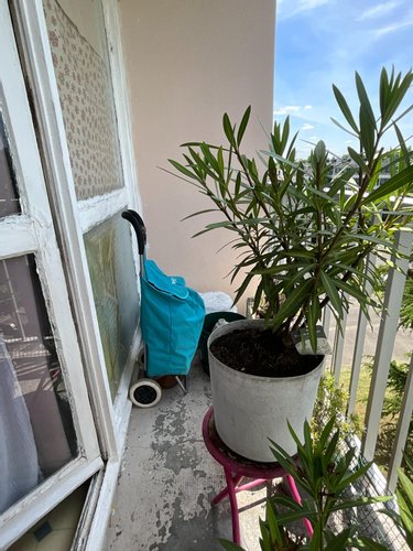 Appartement a vendre Tours 37000 Indre-et-Loire 20 m2 1 pièce 43000 euros
