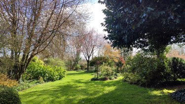 Maison a vendre Saint-Saire 76270 Seine-Maritime 230 m2 7 pièces 322400 euros