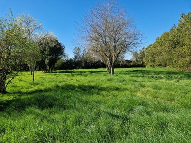 Maison a vendre Nouans-les-Fontaines 37460 Indre-et-Loire 87 m2 4 pièces 125400 euros