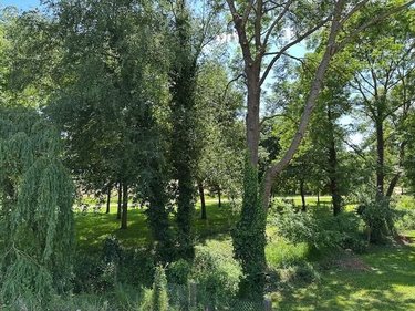 Maison a vendre Neufchâtel-en-Bray 76270 Seine-Maritime 101 m2 4 pièces 146300 euros