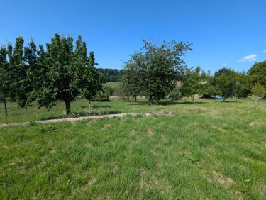 Terrain a batir a vendre Francheval 08140 Ardennes 3220 m2  53000 euros