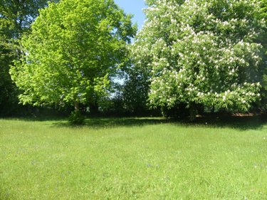 Maison a vendre Saint-Mards-de-Fresne 27230 Eure 60 m2 3 pièces 94500 euros