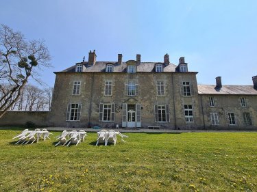 propriete a vendre Fay-aux-Loges 45450 Loiret 671 m2 17 pièces 883150 euros