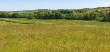 Terrain a batir a vendre Gasques 82400 Tarn-et-Garonne 15874 m2  50000 euros