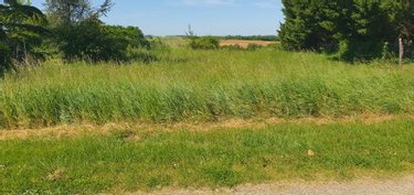 Terrain a batir a vendre Gasques 82400 Tarn-et-Garonne  19000 euros