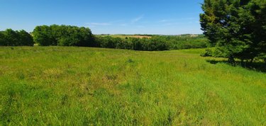 Terrain a batir a vendre Gasques 82400 Tarn-et-Garonne  19000 euros