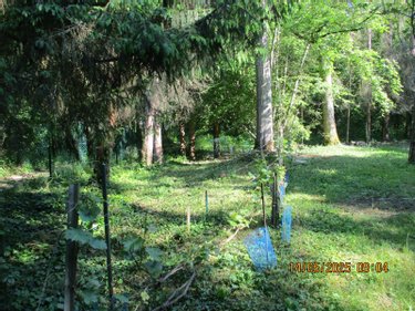 Terrains de loisirs bois etangs a vendre Tours-sur-Marne 51150 Marne 1190 m2  9450 euros