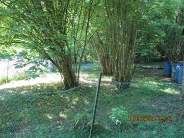Terrains de loisirs bois etangs a vendre Tours-sur-Marne 51150 Marne 1190 m2  9450 euros