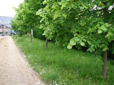 Location maison Saint-Cyr-sur-Loire 37540 Indre-et-Loire 114 m2 4 pièces 1500 euros