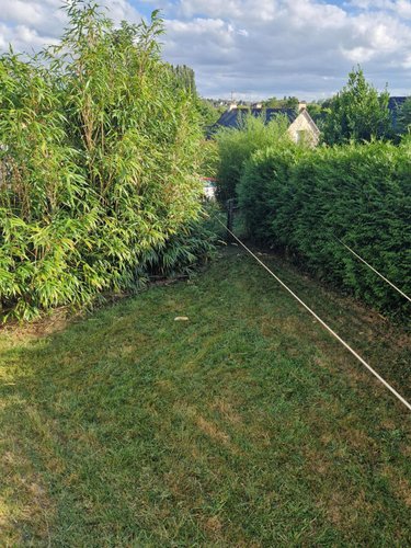 Location maison Châteaugiron 35410 Ille-et-Vilaine 74 m2  750 euros