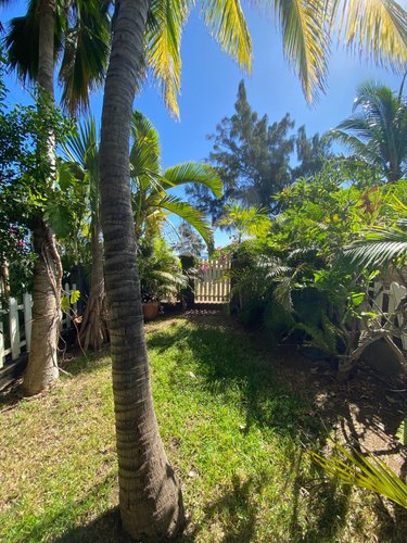 Appartement a vendre Saint-Paul 97460 Réunion 100 m2 4 pièces 879560 euros