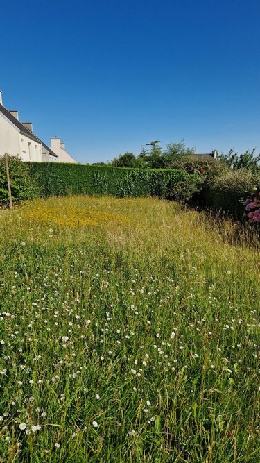 Maison a vendre Saint-Martin-des-Champs 29600 Finistère 66 m2 3 pièces 147140 euros