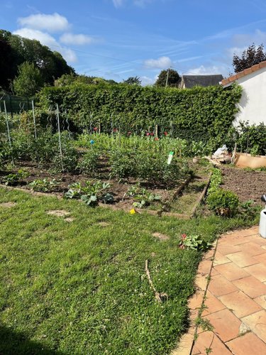 Maison a vendre Montville 76710 Seine-Maritime 99 m2 4 pièces 202200 euros