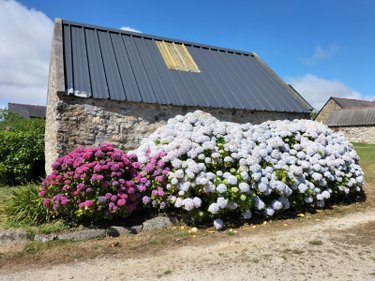 Maison a vendre Crozon 29160 Finistère 135 m2 8 pièces 476800 euros