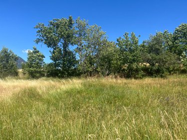 Terrain a batir a vendre Risoul 05600 Hautes-Alpes 532 m2  104000 euros