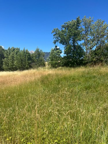 Terrain a batir a vendre Risoul 05600 Hautes-Alpes 532 m2  104000 euros