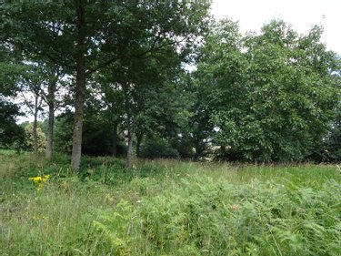 Maison a vendre Romazy 35490 Ille-et-Vilaine 134 m2 5 pièces 212500 euros