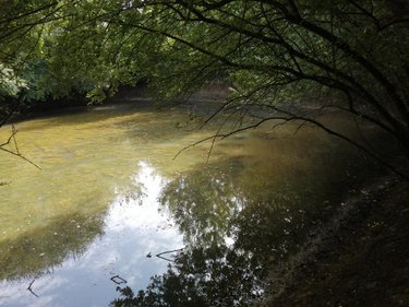 Terrains de loisirs bois etangs a vendre Tuffé-Val-de-la-Chéronne 72160 Sarthe 12980 m2  17640 euros